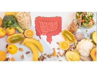 digestive-health-enzyme-therapy-for-better-wellness-small-0