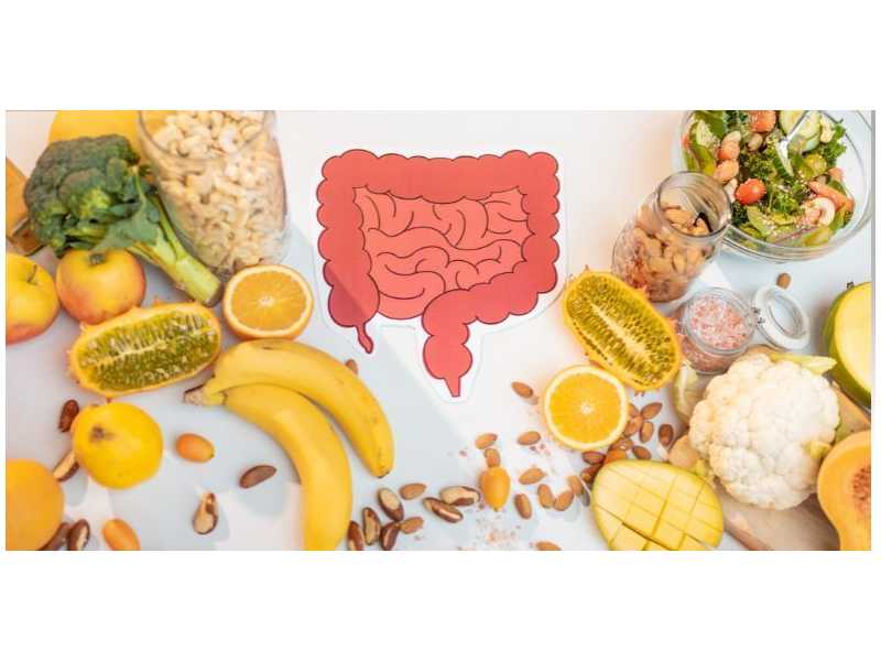 digestive-health-enzyme-therapy-for-better-wellness-small-0