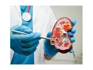 kidney-stone-treatment-laguna-hills-california-small-0