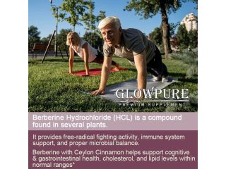 support-supsupports-healthy-lipid-metabolism-small-3