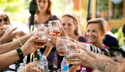 premium-sonoma-wine-tours-experience-with-tour-napa-sonoma-big-0