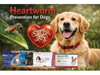 heartworm-prevention-for-dogs-small-0