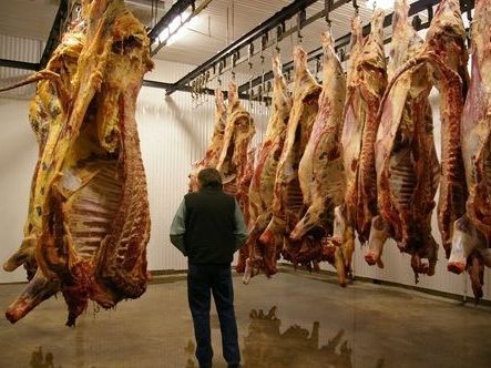 save-more-when-you-buy-beef-in-bulk-at-blessings-ranch