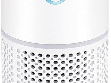 best-air-purifier-for-home-in-india-online