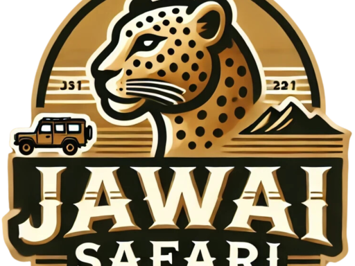jawai-safari