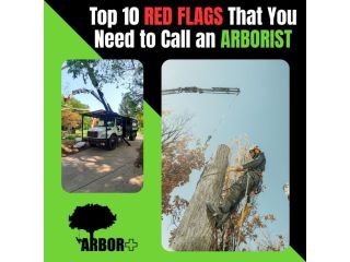 arbor-plus-small-3