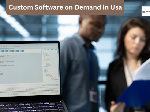 custom-software-on-demand-in-usa-space-to-tech