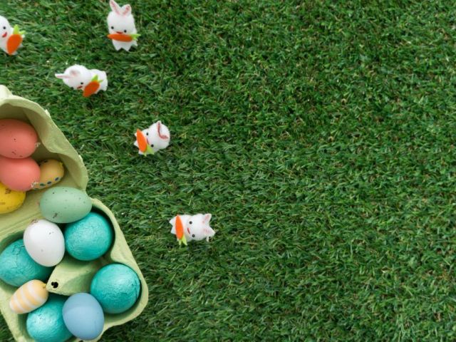 artificial-grass-san-jose