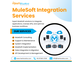 boost-efficiency-with-mulesoft-integration-services-small-0