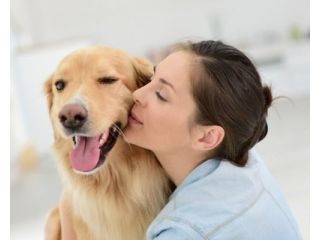 reliable-pet-movers-to-hawaii-dog-gone-taxi-small-0