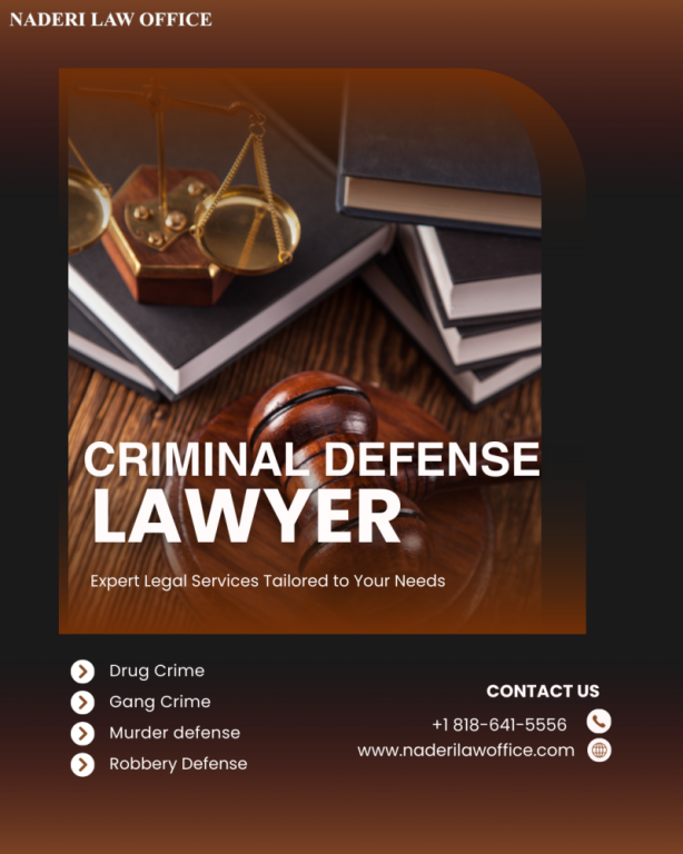 best-criminal-defense-lawyer-in-van-nuys-big-0