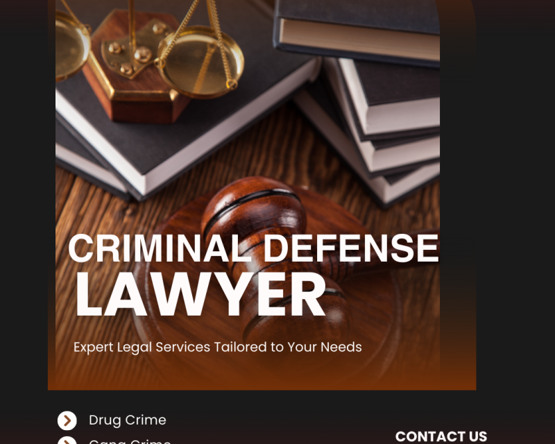 best-criminal-defense-lawyer-in-van-nuys
