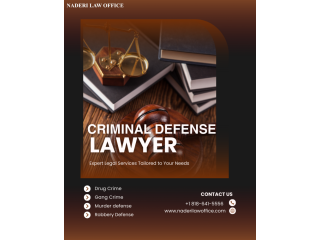 best-criminal-defense-lawyer-in-van-nuys-small-0