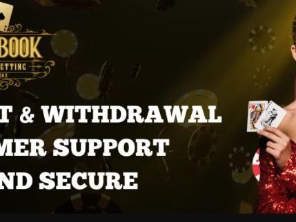 sky-exchange-login-get-secure-reliable-access-with-ikka-book