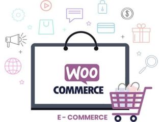 why-hire-woocommerce-developer-small-0