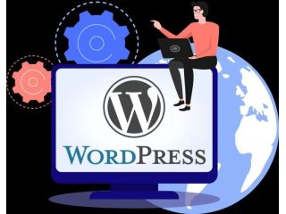 hire-wordpress-developer-to-customize-website-small-0
