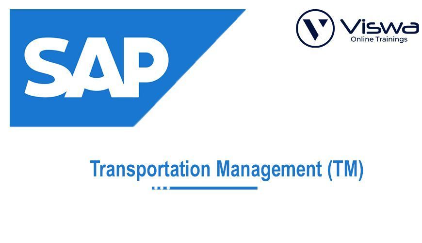 sap-tm-online-training-institute-from-hyderabad-india-big-0