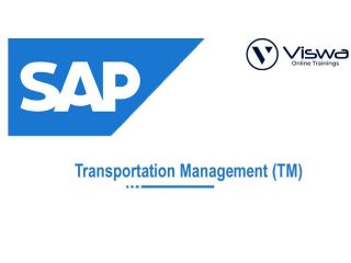 sap-tm-online-training-institute-from-hyderabad-india-small-0