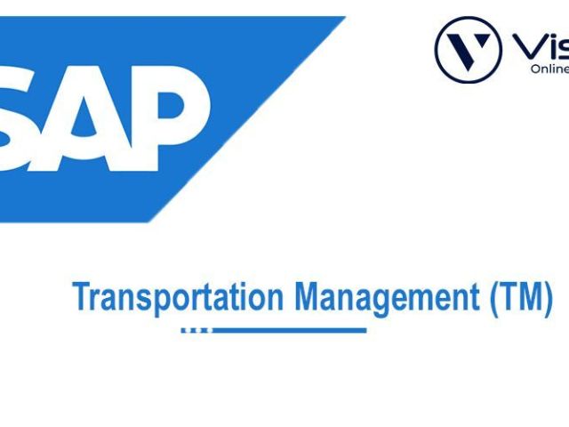 sap-tm-online-training-institute-from-hyderabad-india