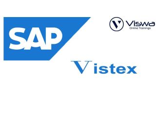 sap-vistex-online-training-by-real-time-trainer-in-india-small-0