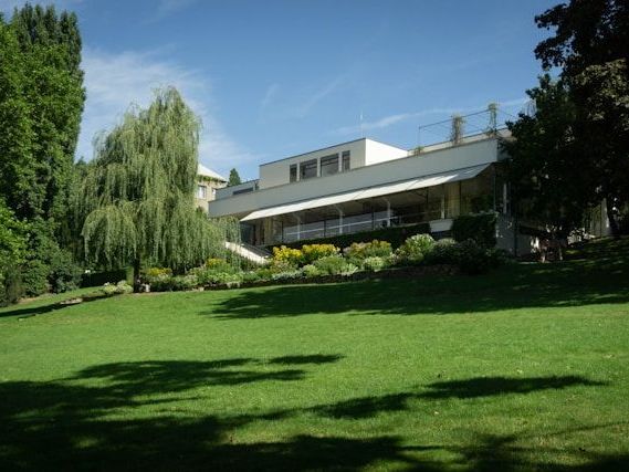 artificial-grass-for-sale-in-oakland
