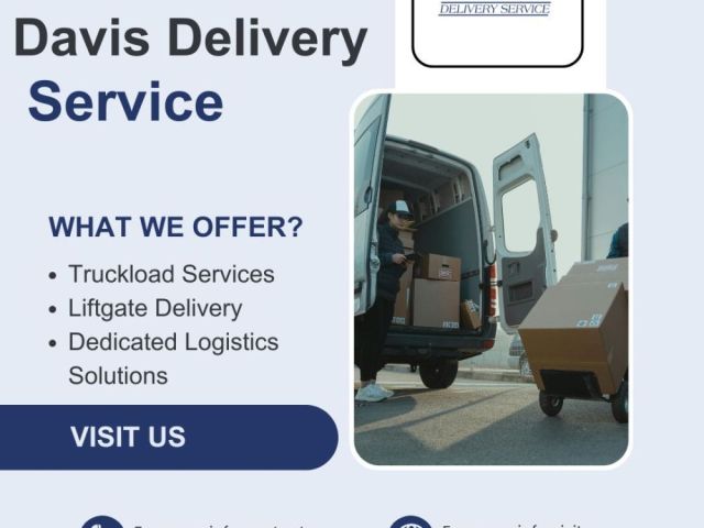 professional-delivery-team-georgia