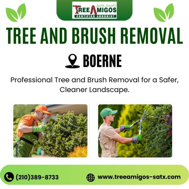 tree-and-brush-removal-in-boerne-big-0