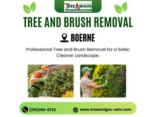 tree-and-brush-removal-in-boerne-small-0
