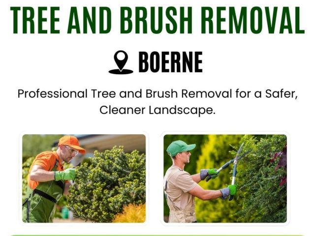 tree-and-brush-removal-in-boerne