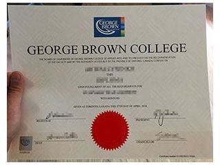 troy-university-diploma-sample-professional-academic-design-small-0
