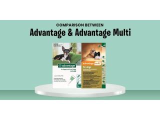 advantage-vs-advantage-multi-advocate-which-one-is-best-small-0
