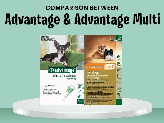 advantage-vs-advantage-multi-advocate-which-one-is-best