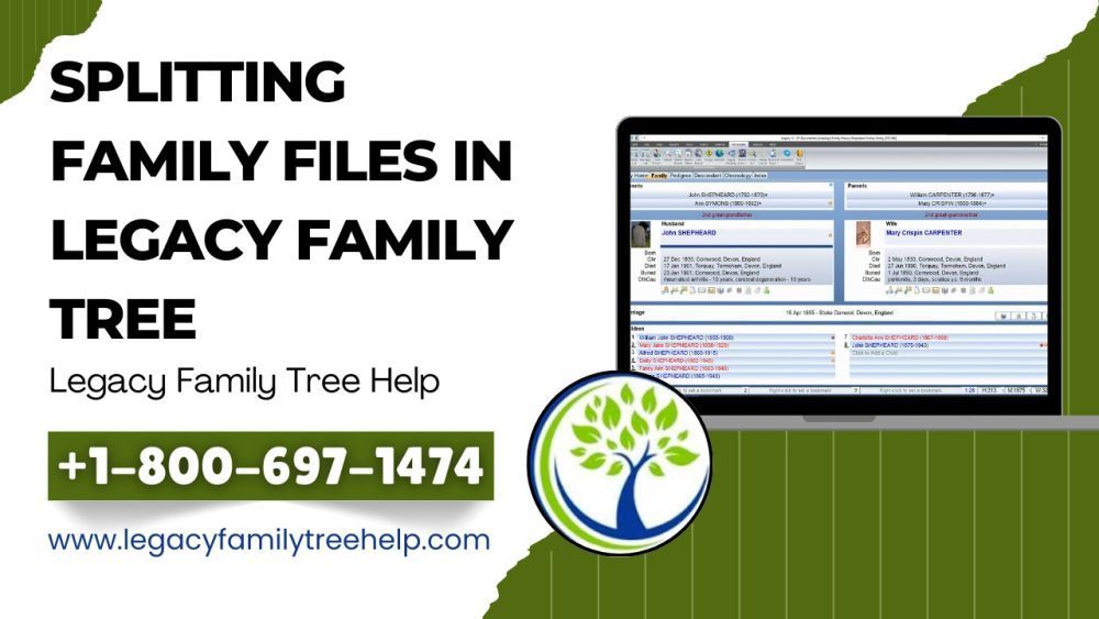 splitting-family-files-in-legacy-using-split-screen-view-big-0
