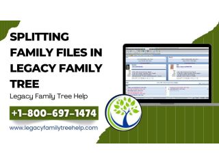 splitting-family-files-in-legacy-using-split-screen-view-small-0