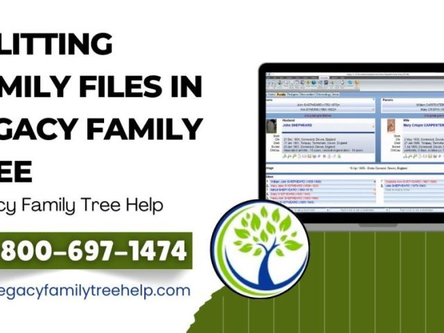 splitting-family-files-in-legacy-using-split-screen-view