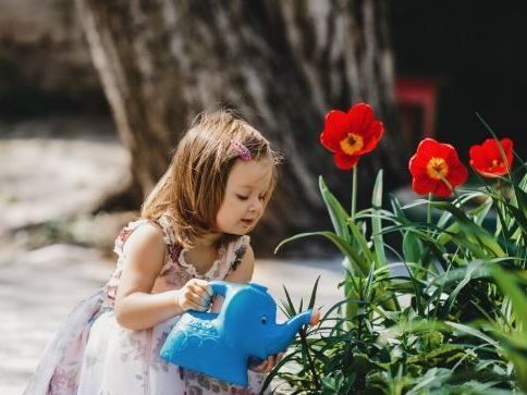 enriching-nature-preschools-outdoor-learning