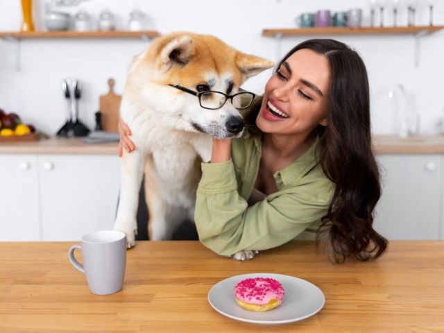 premium-dog-accessories-healthy-treats