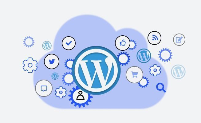 custom-and-reliable-wordpress-development-agency-big-0
