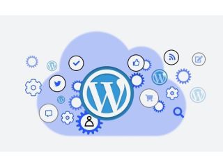 custom-and-reliable-wordpress-development-agency-small-0