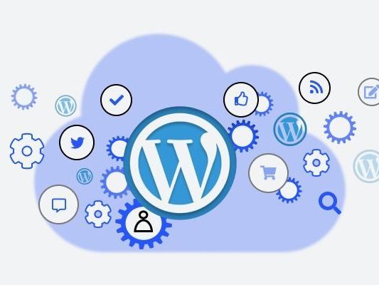 custom-and-reliable-wordpress-development-agency