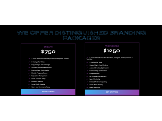 top-digital-marketing-agency-in-usa-small-0