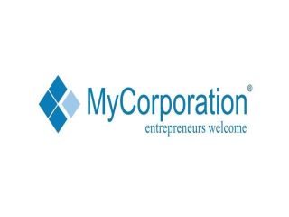 build-a-professional-corporate-entity-small-0