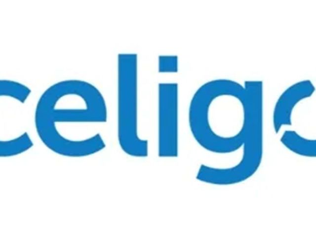 celigo-online-training-institute-from-hyderabad-india