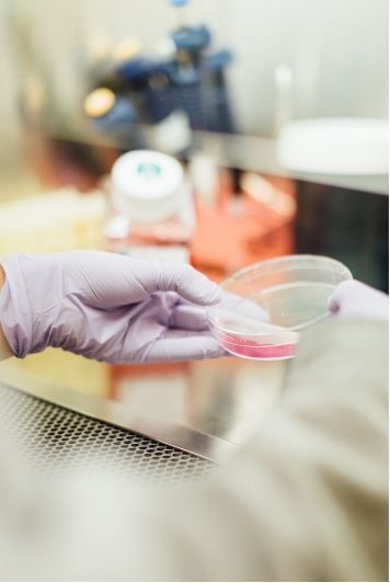 how-a-global-research-and-outsourcing-firm-big-0