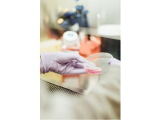 how-a-global-research-and-outsourcing-firm-small-0