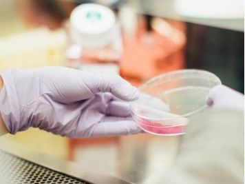 how-a-global-research-and-outsourcing-firm
