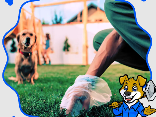 poop-scooping-company