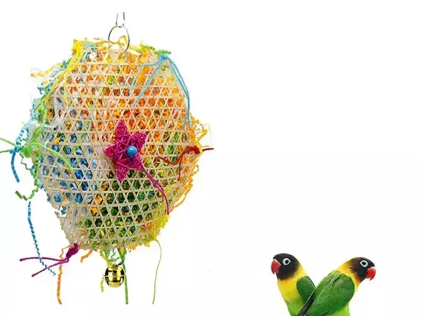 premium-parrot-bird-toys-for-smart-happy-active-birds