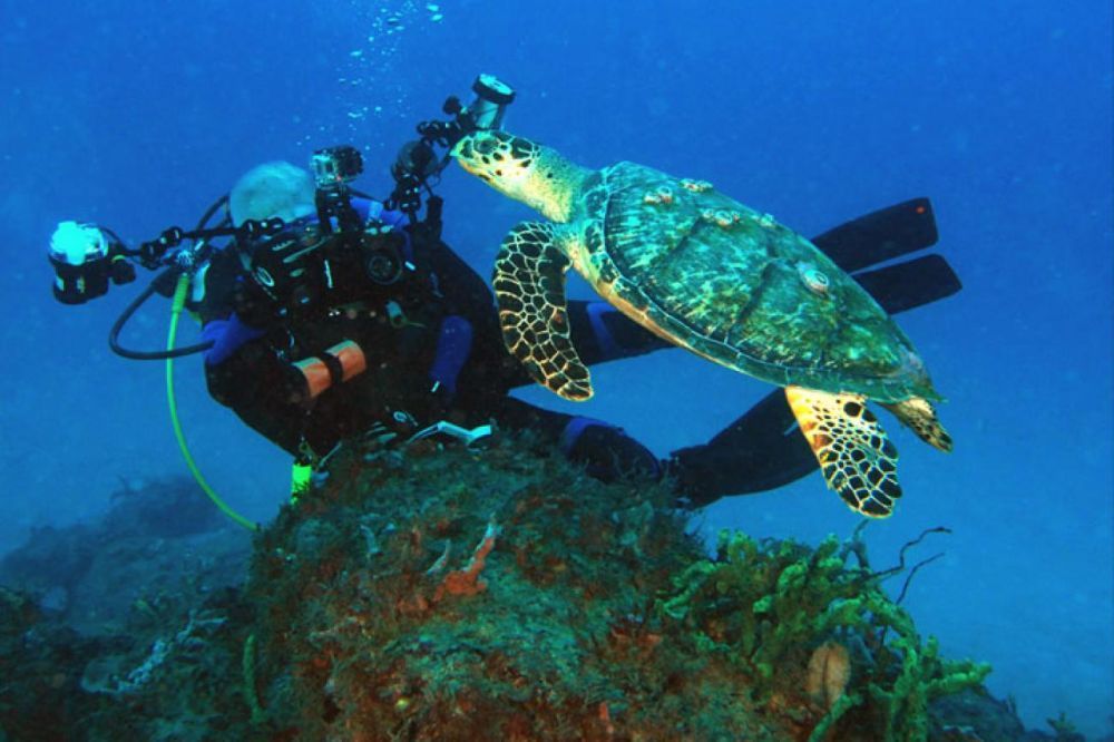 diving-south-florida-big-0