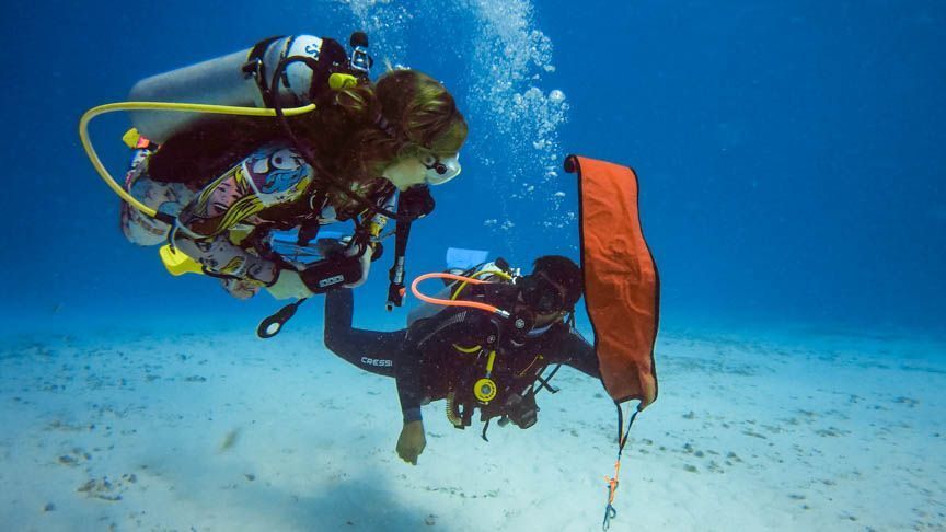 diving-south-florida-big-4